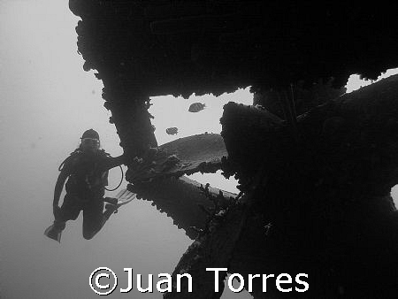 Nice B & W of my wife at the Hilma Hooker, Bonaire.   by Juan Torres 