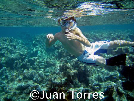 My little son Marco, future scubadiver, snorkeling in Cay... by Juan Torres 