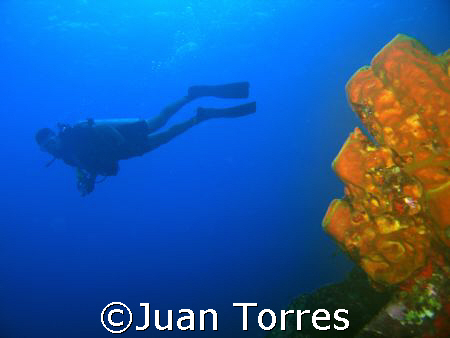 A diver (Eduardo) in Mona Island, Puerto Rico.  Canon S70... by Juan Torres 