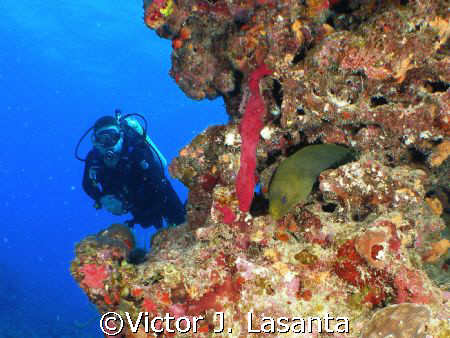 fernando and his new friend in mermaid point  dive site a... by Victor J. Lasanta 