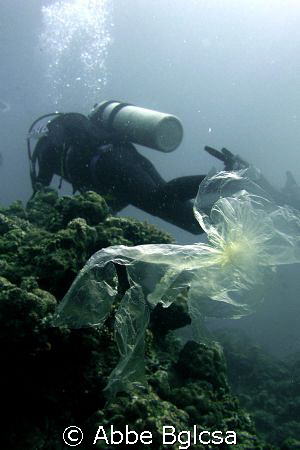 Save our Seas!  Plastic wrapper floating on the dive site... by Abbe Bglcsa 