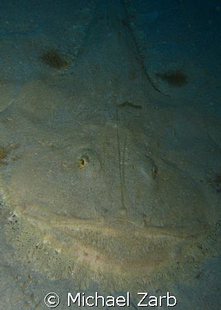 An angler fish smiling away off the new p29 wreck in cirk... by Michael Zarb 