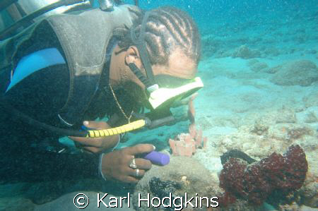 Divemaster checking out a Black frogfish a fair amount of... by Karl Hodgkins 