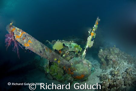 Emily Flying Boat-Engine in corals-Truk Lagoon by Richard Goluch 