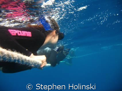 Looking for Minke Whales on the back-line.  Coral Sea, Au... by Stephen Holinski 
