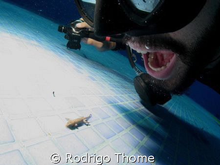 Swimming pool cleaning system...
Satisfaction garante or... by Rodrigo Thome 