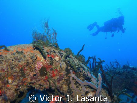 gaby in the tire reef at crash boat in aguadilla ,PUERTO ... by Victor J. Lasanta 