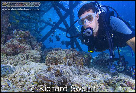Ben meets a Crocodile Fish under the Kapalai Resort Jetty... by Richard Swann 