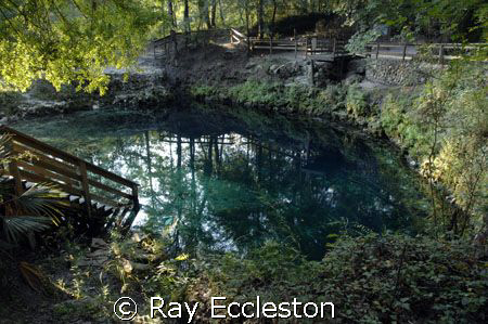 Madison Blue Spring, Lee FL. Camera Nikon D2Xs by Ray Eccleston 