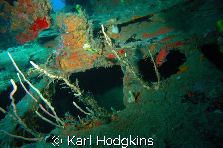 Wrecks and Colour by Karl Hodgkins 