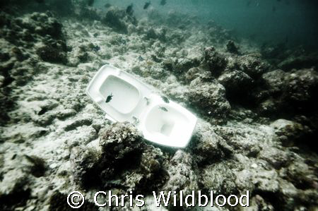 How we treat our oceans. by Chris Wildblood 