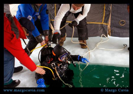 Ice diving in Minnesota by Margo Cavis 