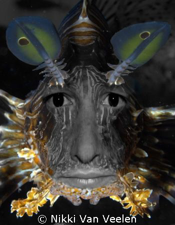 Self portrait - I + Lionfish by Nikki Van Veelen 