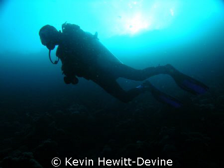 Marsa Alam 2008 - Nikon Coolpix 5400 - Sea & Sea YS90 Aut... by Kevin Hewitt-Devine 