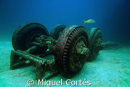 Truck of the "Salvatierra", a wreck in the Sea of Cortez ... by Miguel Cortés 