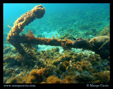 anchor in jamaica by Margo Cavis 