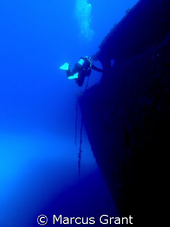 This was taken on the wreck of the Um El Faroud.  by Marcus Grant 