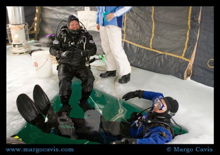 Ice diving in Minnesota (The ice is actually 2 feet thick... by Margo Cavis 