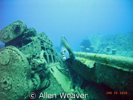 wreckage of the Ora Verde by Allen Weaver 