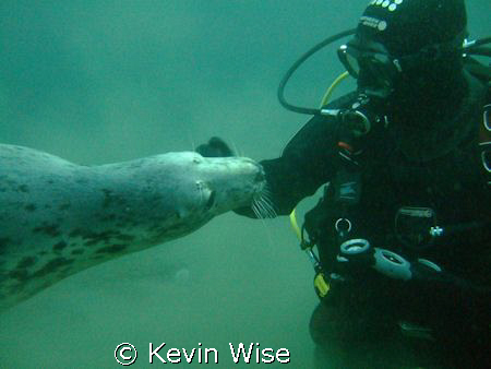 who is playing with who.
location the farne islands take... by Kevin Wise 