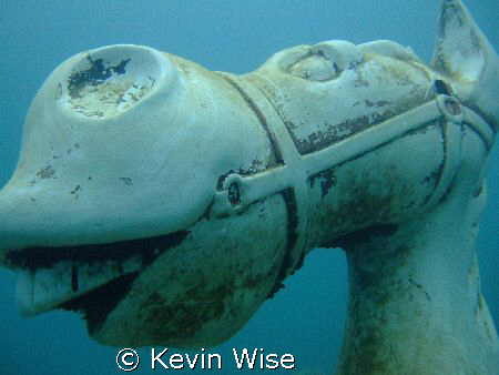 If you have been to Capernwray inland dive site you must ... by Kevin Wise 