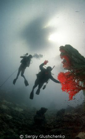 Divers by Sergiy Glushchenko 