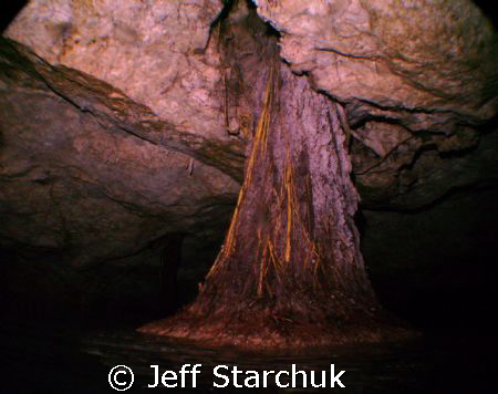 Cenotes of the Yukatan. In an airspace the roots of this ... by Jeff Starchuk 