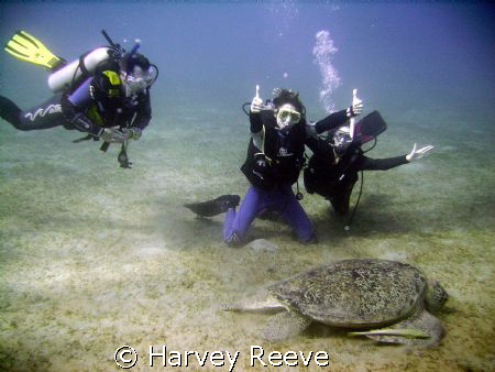 Happy divers by Harvey Reeve 