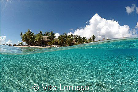 Tikehau's Atoll by Vito Lorusso 