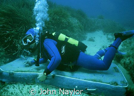 The sea bed. by John Naylor 
