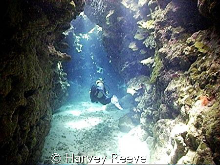 Dolphin House Caves by Harvey Reeve 