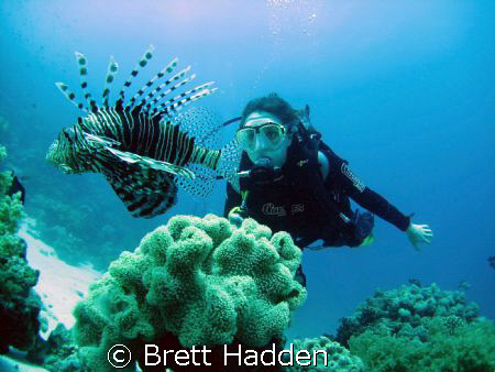 Stare Down between Angie and a Huge Lion Fish..... EEL Ga... by Brett Hadden 