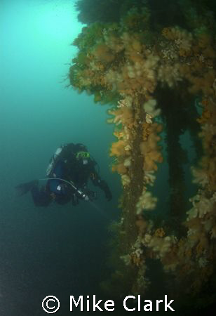 Diver on Thesis wreck, Scotland by Mike Clark 