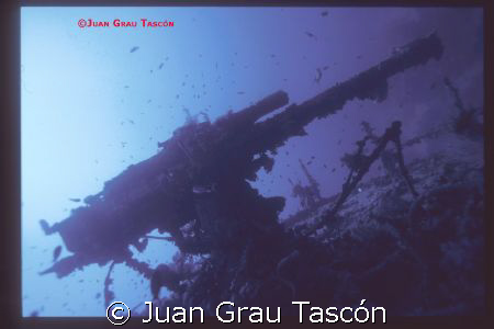 SS Thistlegorm
Golfe de Suez Shaab Ali by Juan Grau Tascón 
