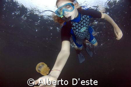 This photo is make in Jellyfish lake, in Palau (Koror) Ro... by Alberto D'este 