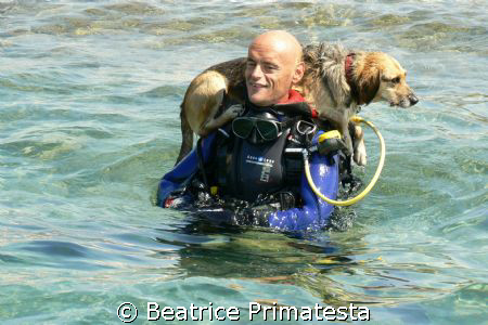 Do you want to dive with Fenzy? She's a nice dog.  by Beatrice Primatesta 