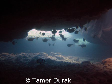 fethiye cavern by Tamer Durak 
