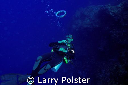 Dive Master signal , asend to safety stop. by Larry Polster 