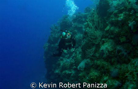 Wendy off the wall in Cayman Brac.
4000 feet straight do... by Kevin Robert Panizza 