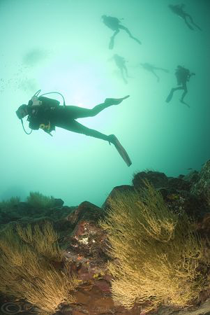 Divers! Gordons rock. Galapagos. D200, 10.5mm. by Derek Haslam 