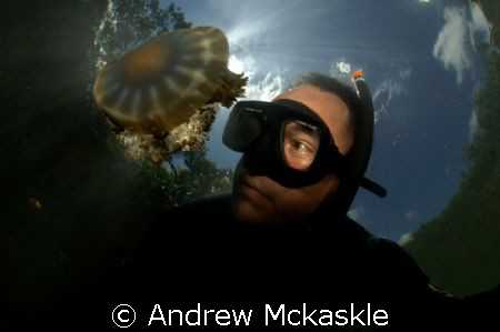 Just me and the Jelly
Nikon D2 in a SeaCam housing, 10mm... by Andrew Mckaskle 