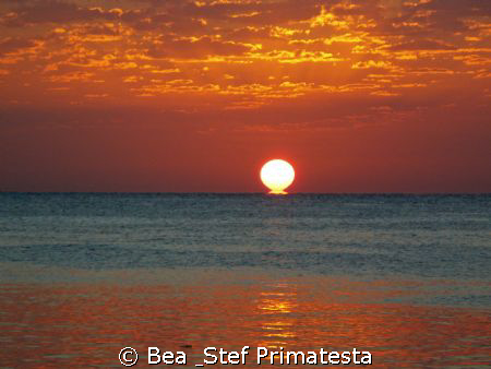 Red Sea by Bea & Stef Primatesta 