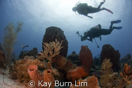 Photographer, buddy and reef, D300, 10.5mm Fisheye by Kay Burn Lim 