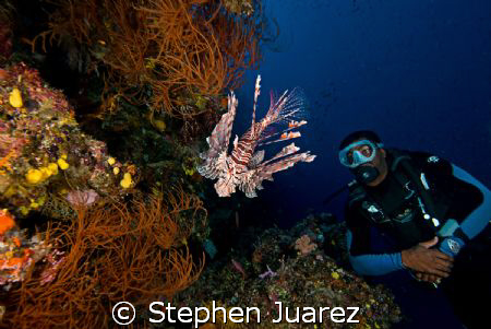 Follow the Mo,Moses works as a Dive Guide on Fiji Aggress... by Stephen Juarez 
