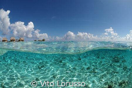 Moorea's Island by Vito Lorusso 