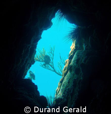 light throughing the shaft of the cave in blanquilla isla... by Durand Gerald 