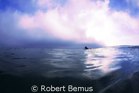 Open water by Robert Bemus 