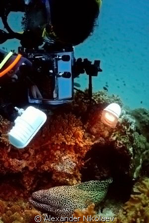 The underwater cameraman. Gulf of Oman, Daymaniyat Island... by Alexander Nikolaev 