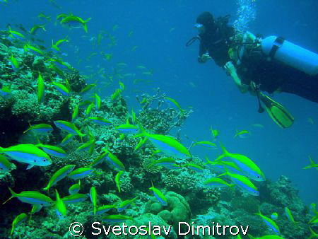 Me and other diver at Bodu Giri, Kuredu, Maldives by Svetoslav Dimitrov 