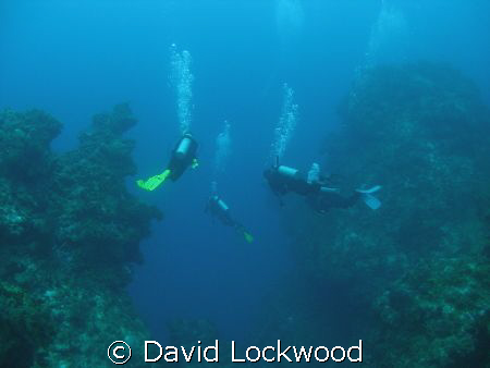 Entering "The Deep". Columbia Deep, Cozumel, Mexico. by David Lockwood 